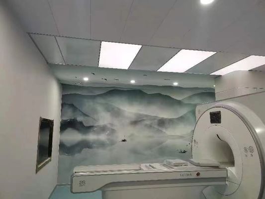 Ein guter Preis. 100dB-MRT Schirmraum Faraday-Schutz Faraday-Käfig Anpassungs Tür Online