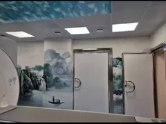 Silber Faraday-Käfig MRT für Labore Die ultimative Schutzlösung